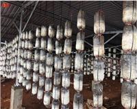 DỰ ÁN CUNG CẤP MÁY BIẾN ÁP NĂNG LƯỢNG MẶT TRỜI TẠI CHƯ PRÔNG GIA LAI